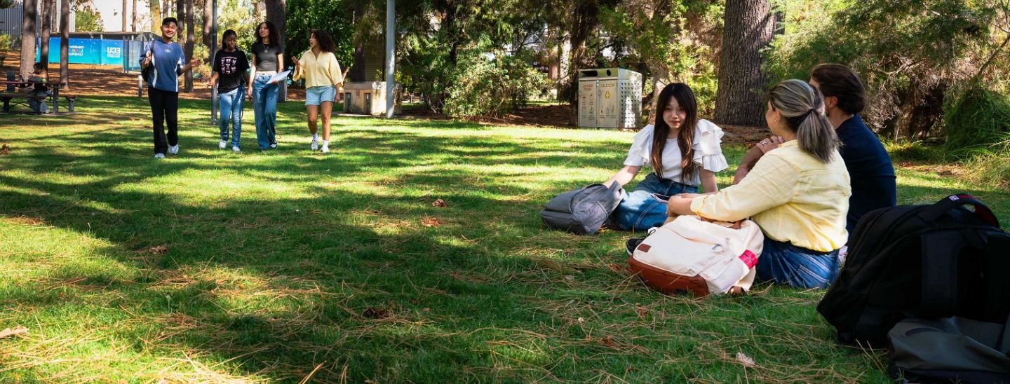 ECC students socializing and relaxing on a sunny, tree-lined campus lawn.