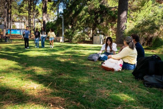 ECC students socializing and relaxing on a sunny, tree-lined campus lawn.