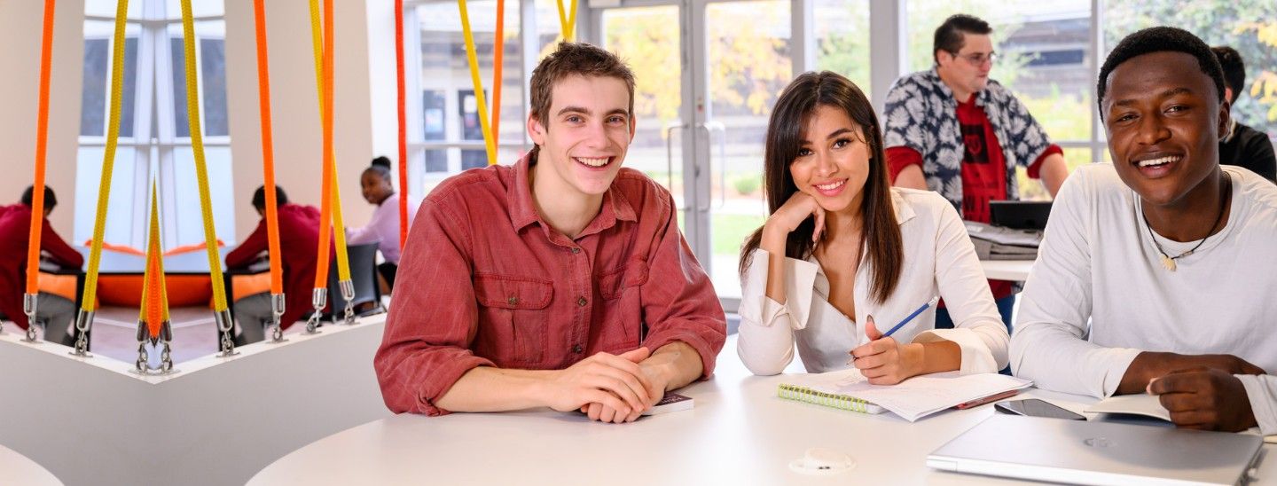 Group sitting studying
