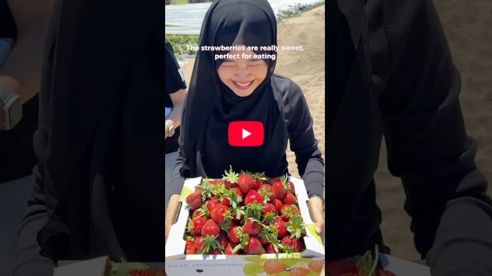 Play Video - Pick up your own strawberries